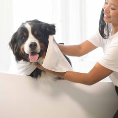 Pet Shampoo - Dry Skin -16 FL. OZ.